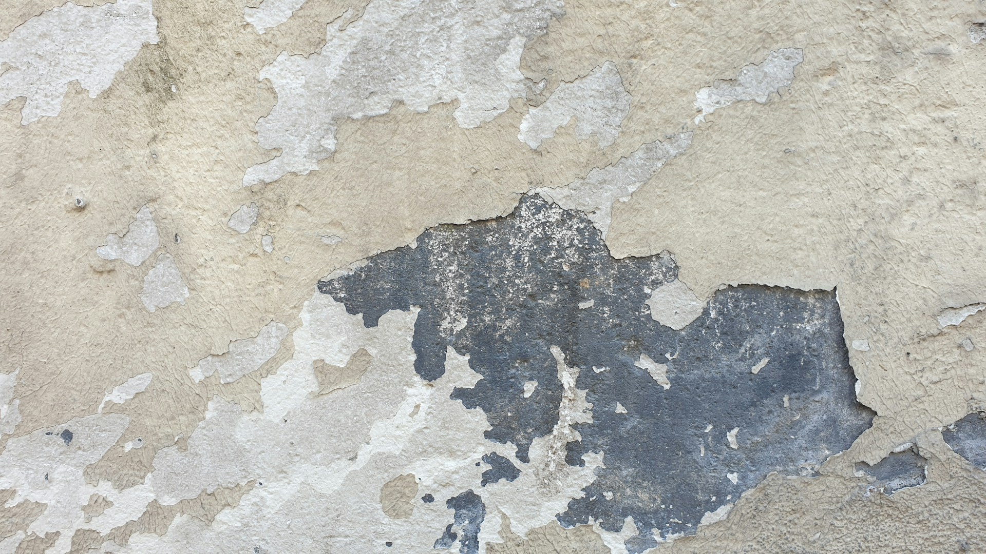 Fjern skimmelsvamp fra fugtige områder: En trin-for-trin vejledning